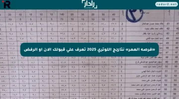 «فرصة العمر» نتائج اللوتري 2025 تعرف على قبولك الآن أو الرفض